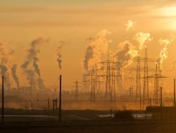 Environmental health and safety management software