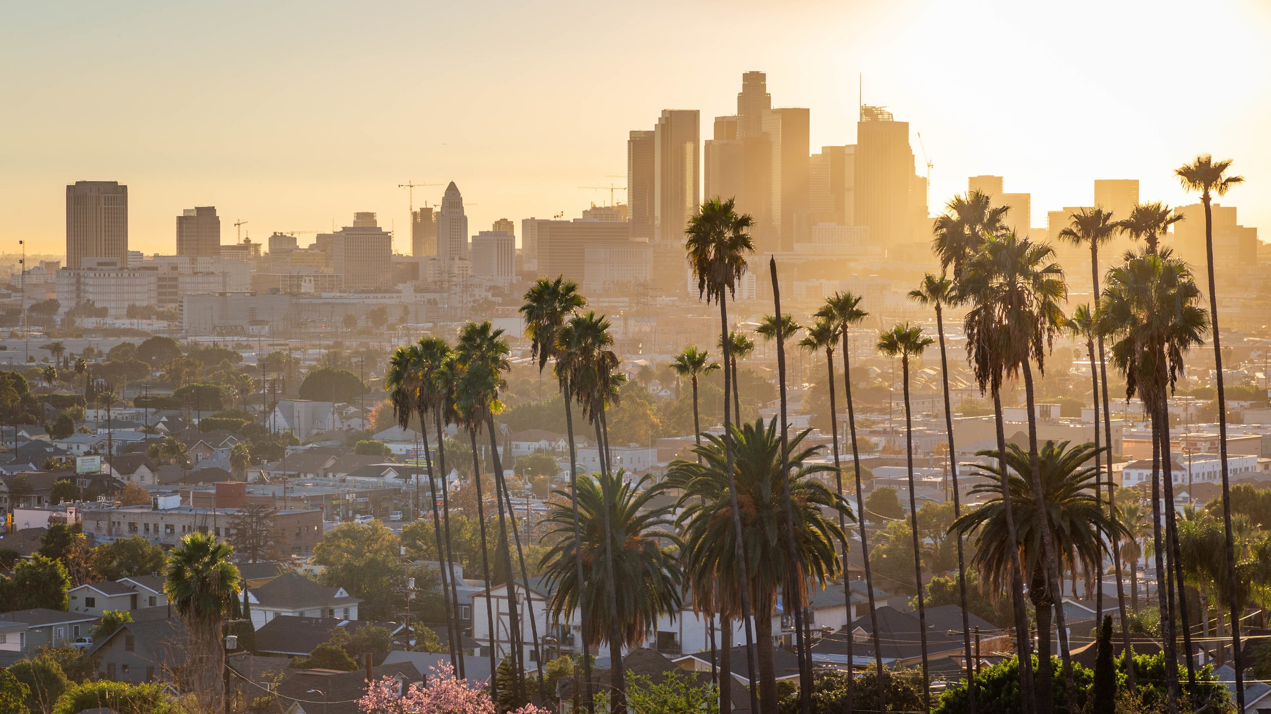 Estúdios localizados em Los Angeles adiam retorno de gravação de séries ... Estúdios localizados em Los Angeles adiam retorno de gravação de séries ...