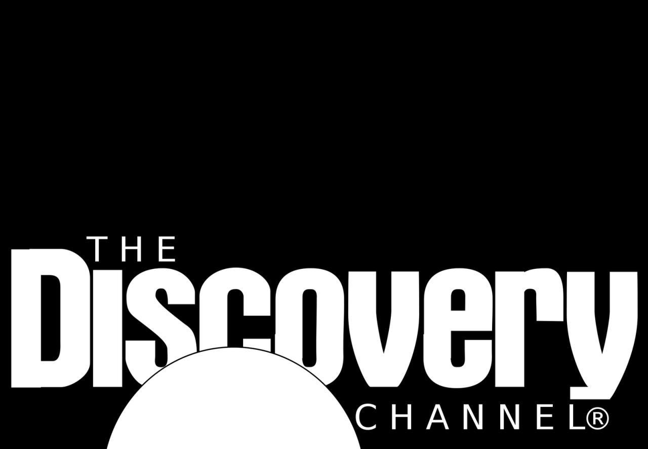 Discover Airlines Unveils New Brand Identity: A Fresh Start for ...