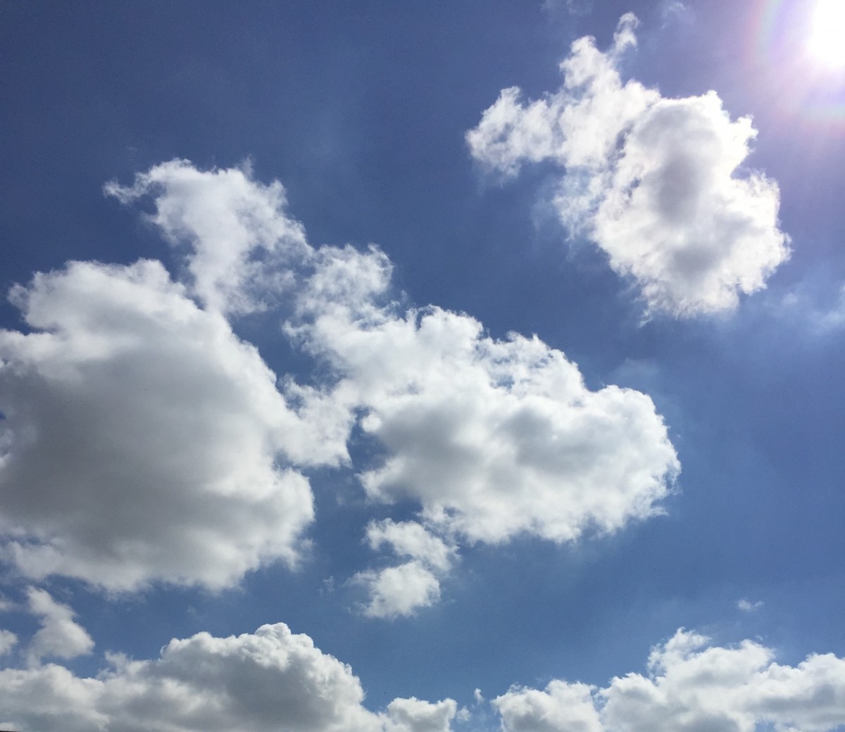 Cloud Texture Free Stock Photo - Public Domain Pictures Cloud Texture Free Stock Photo - Public Domain Pictures