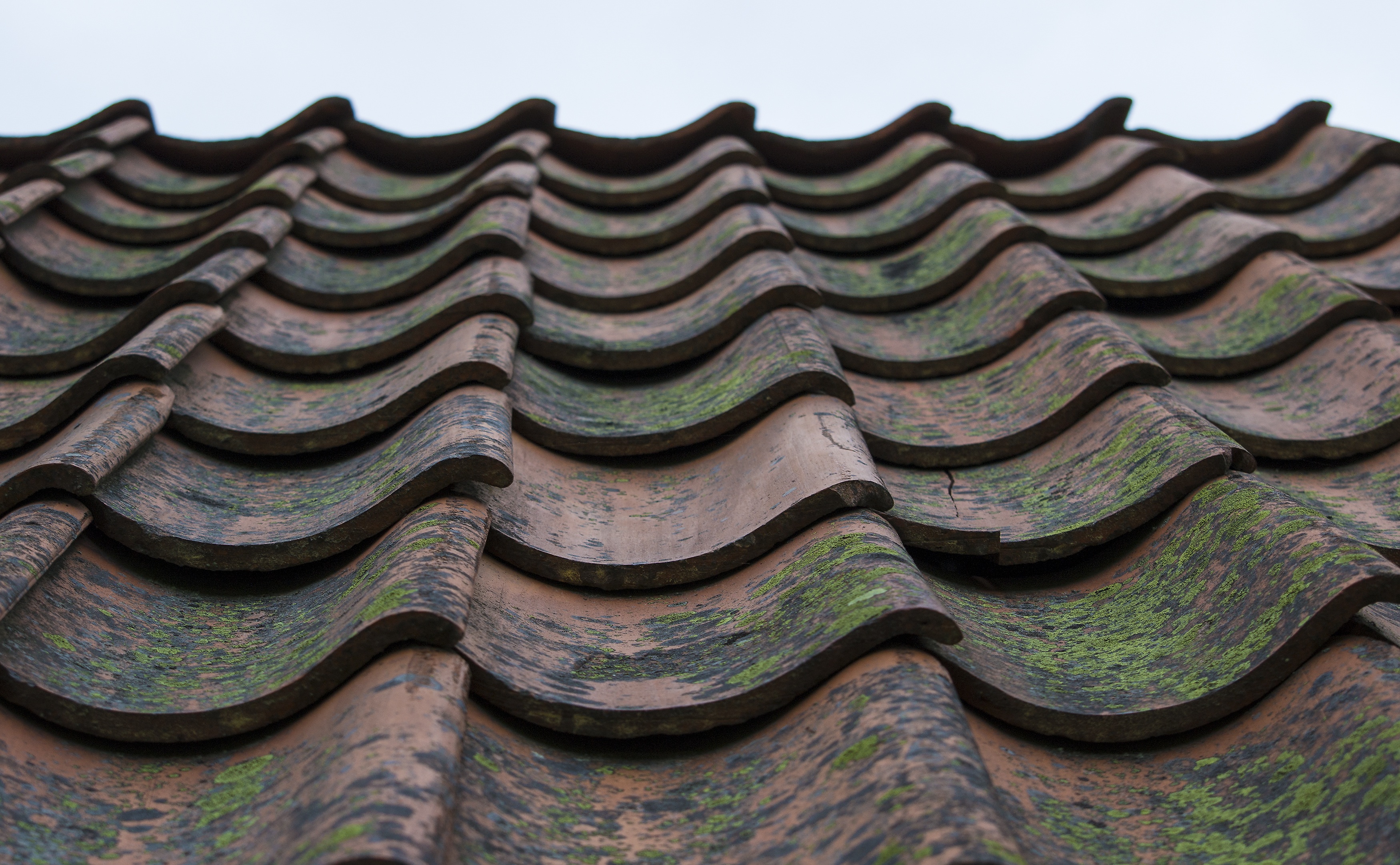 Tile Roof Background Free Stock Photo - Public Domain Pictures Tile Roof Background Free Stock Photo - Public Domain Pictures