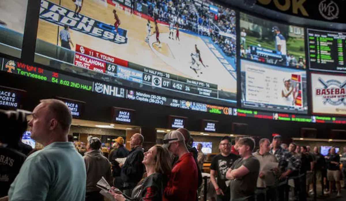 The Most Important Sports Betting Statistics To Know In 2024