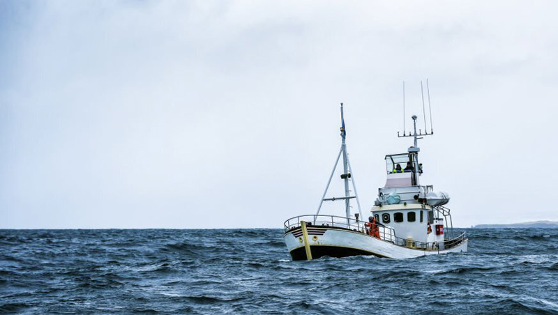Everything You Must Know About Commercial Fishing Boat Insurance - Seafoods